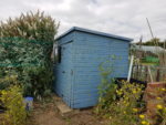 I was asked to help bring back a shed on the allotments in swanage helping save my client money on buying a new shed and have received great feedback